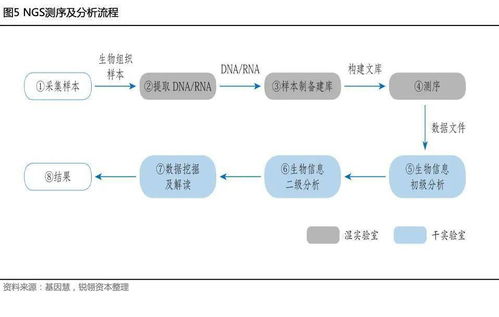 干貨丨遺傳病基因檢測行業(yè)研究報告