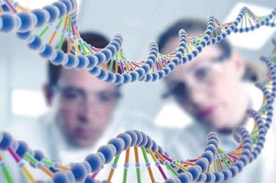 九天易數 人類基因密碼與易經天干地支的驚人契合